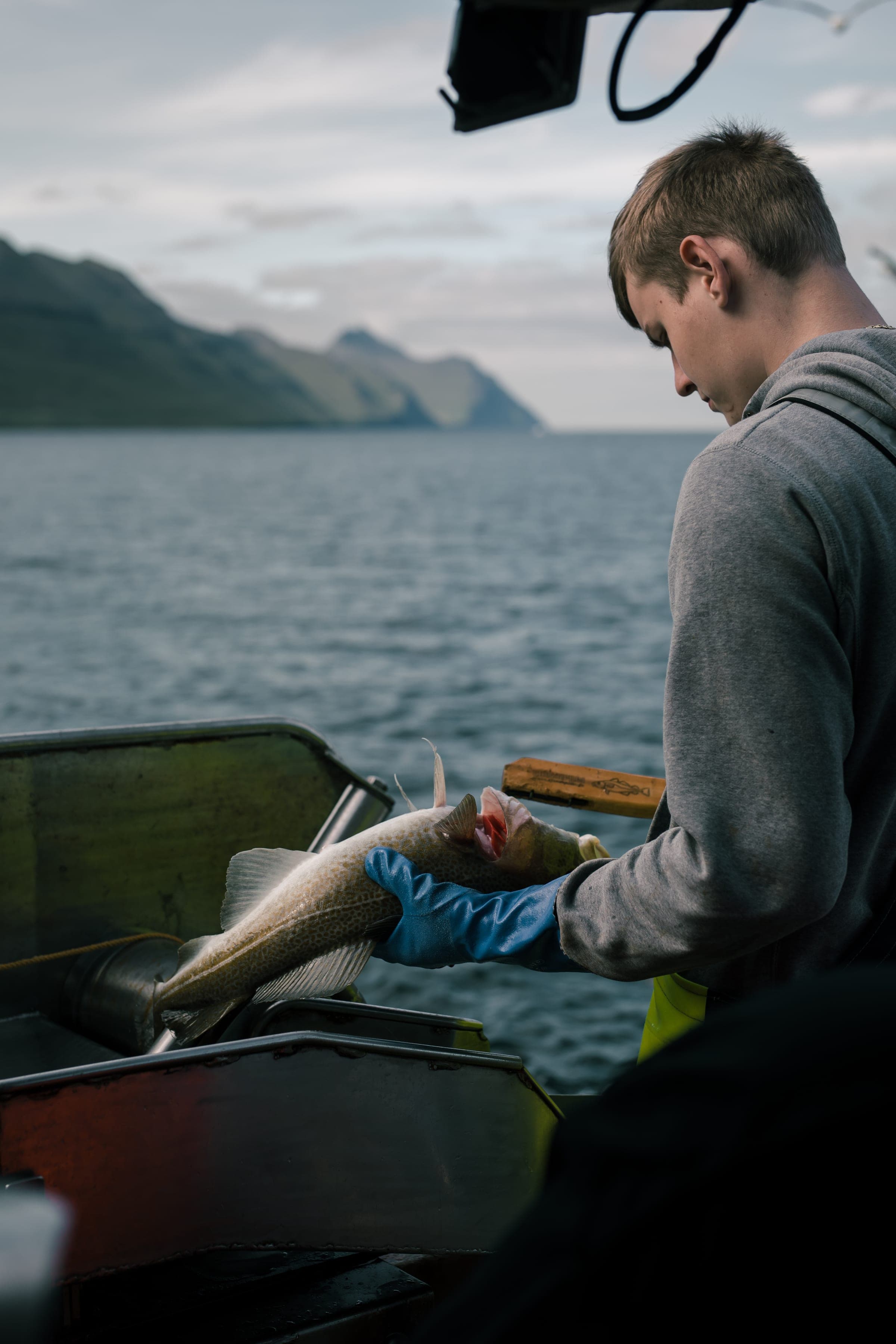 Fisherman at work on Faroese boat