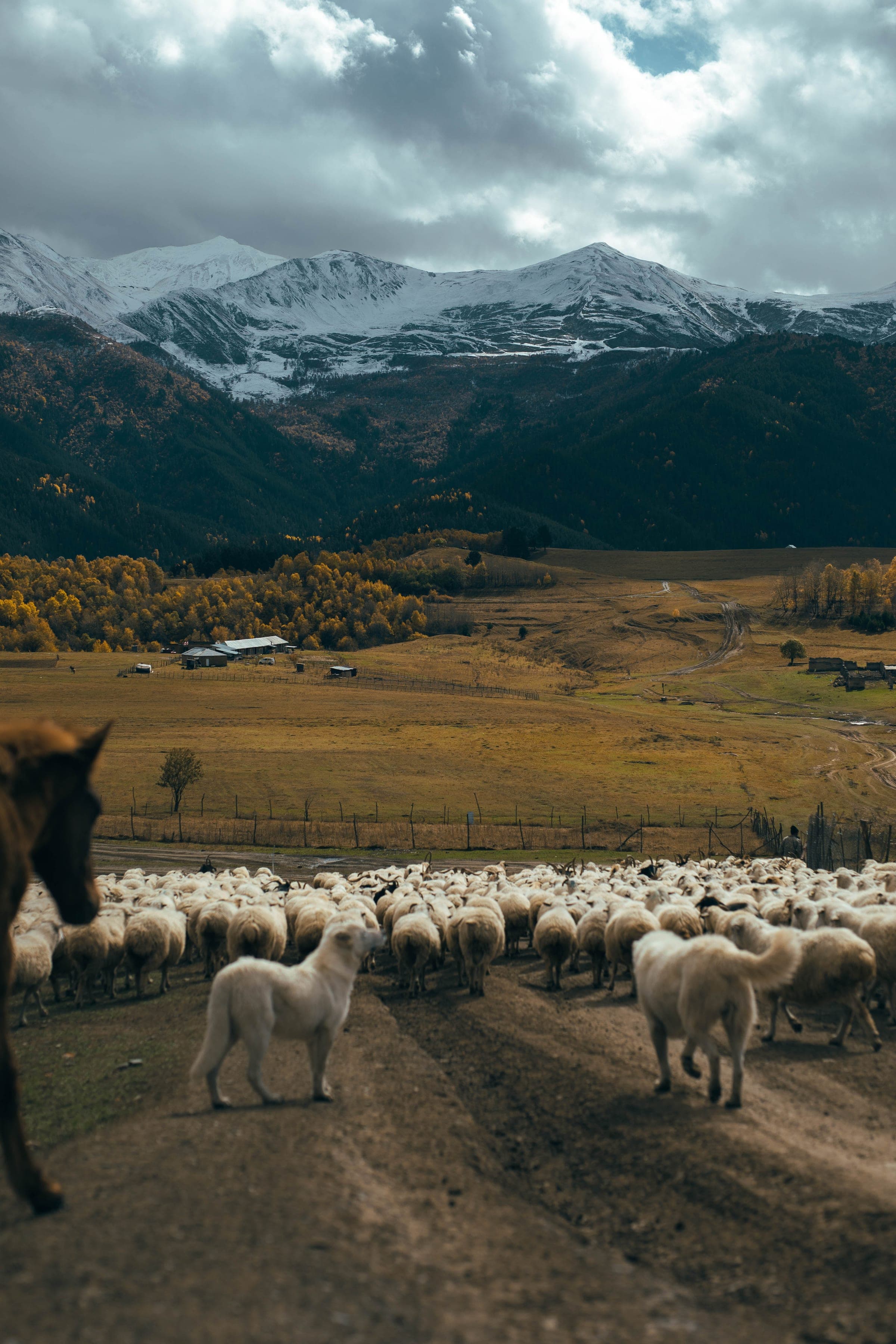 Georgia — landscape at dusk